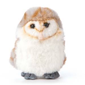 SMOLS Barn Owl
